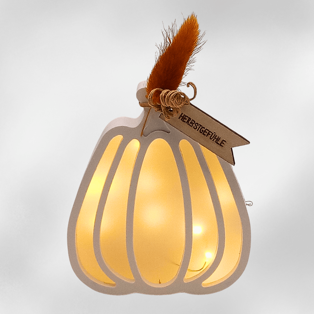 Herbstlicht „Herbstgefühle“ – warm leuchtende Deko mit LED und Trockenblume - Zauberwerk